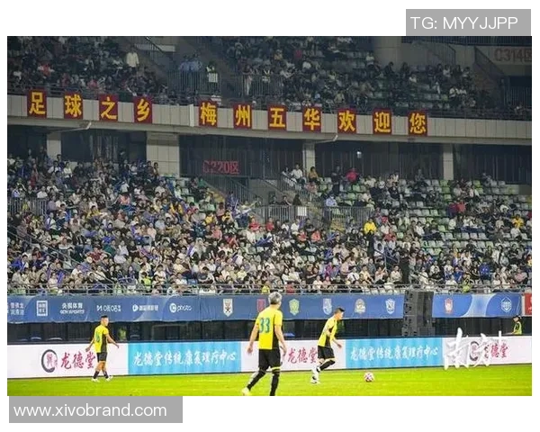 足球明星精彩瞬间视频截图回顾展现他们的巅峰时刻与激情四射的比赛场景