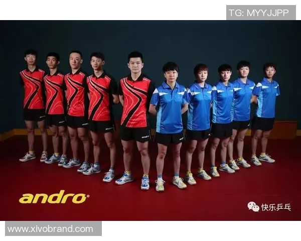 重庆乒乓球队与杭州乒乓球队赛后复盘意识对比分析与启示